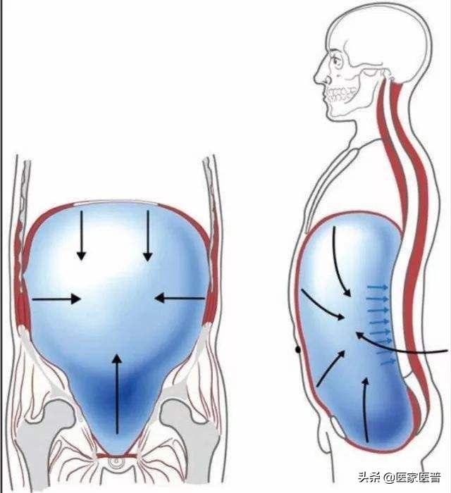 产后科普视频,产后科普之产后腰痛