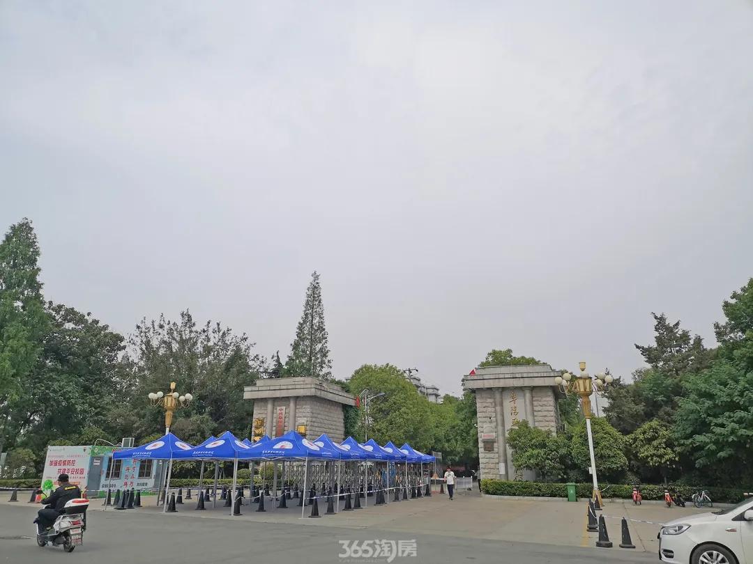 2019限价地块,老城区待拍地块