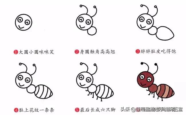 可爱的小昆虫简笔画,我认识的昆虫简笔画