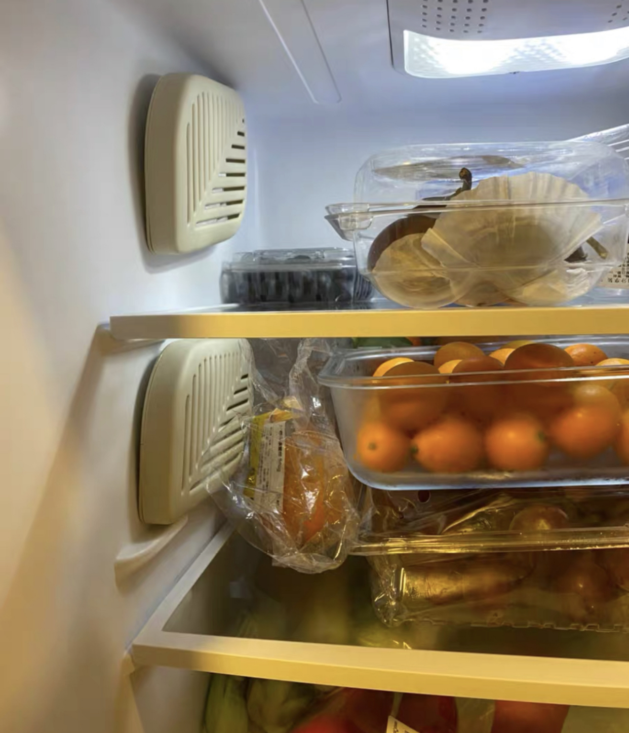 冰箱封条发霉怎么处理,冰箱封条发霉