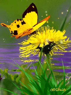 这是我见过最美丽的风景用英语,这是我见过最美的风景啥意思