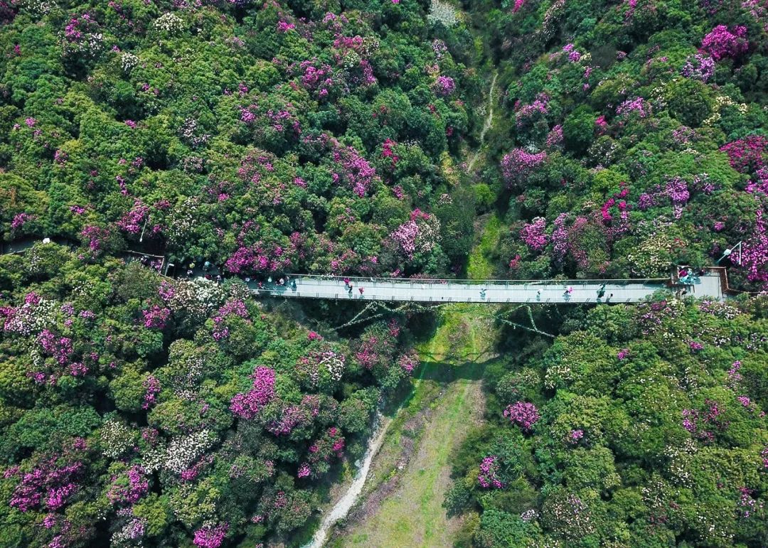 贵州速度，蔚为大观