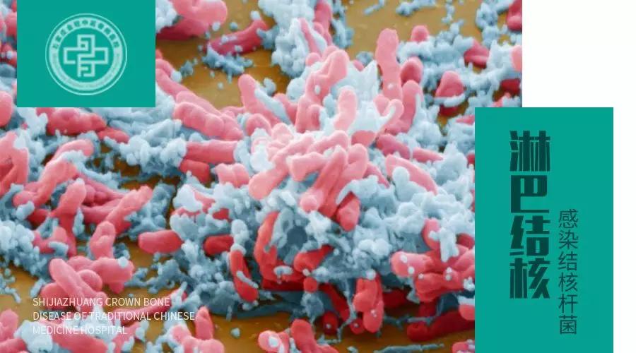 脖子上有个小肿块怎么回事,脖子上出现肿块是肿瘤吗