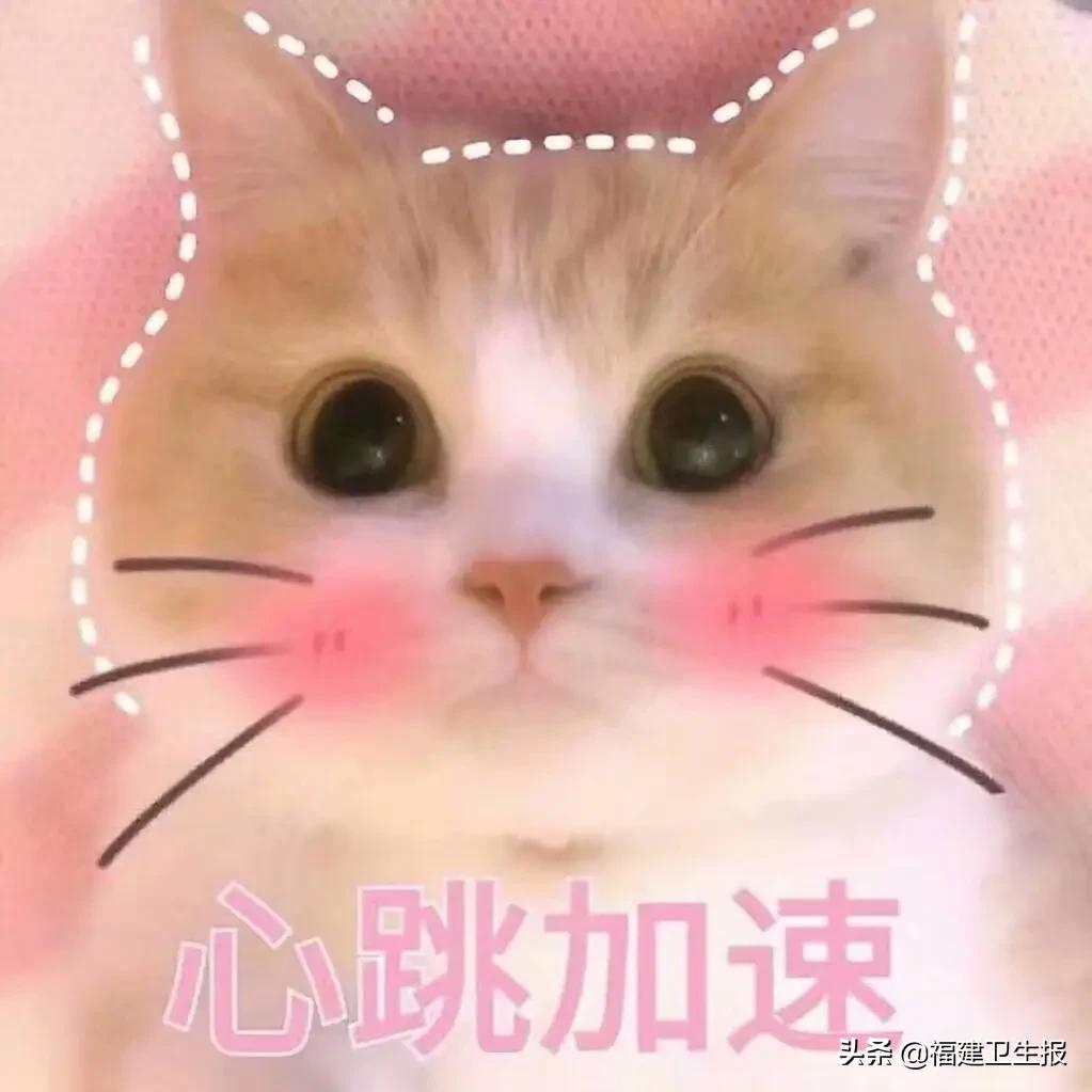 厦门医生抢救昏迷男子,厦门男子打球突发心梗倒下