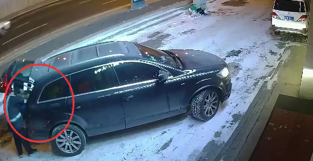 男子开奥迪偷东西,男子开奥迪却在凌晨偷盆栽