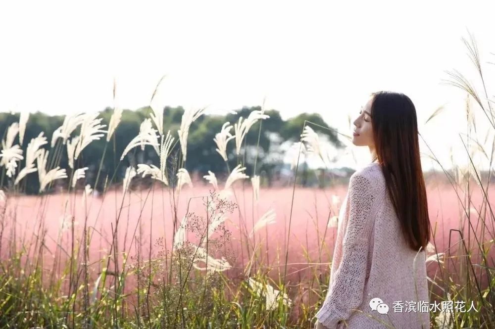 创新作文大赛第十四届获奖名单,2016创意作文大赛