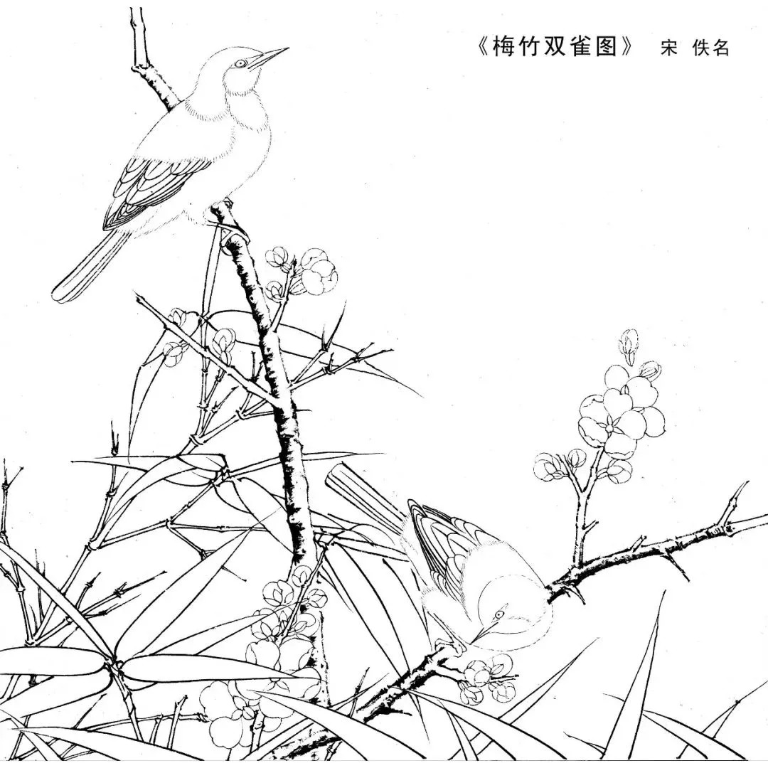 宋人工笔白描,宋人小品花鸟工笔白描高清图