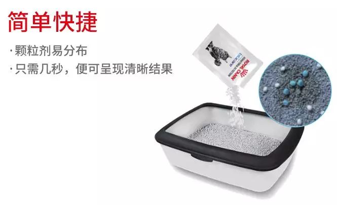 猫咪尿结石可以喝排石颗粒吗,怎么区分猫咪尿结石还是尿路感染