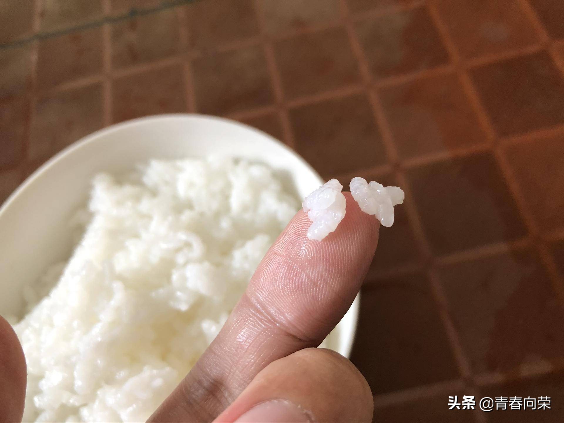 气釜降糖电饭煲使用方法,鼎釜电饭煲的优缺点