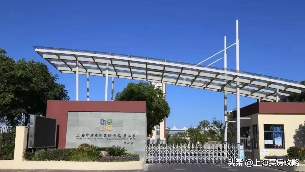 杨超越临港落户,锦鲤杨超越