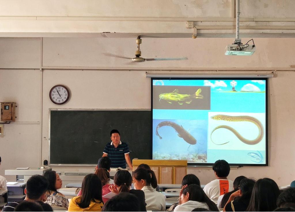 揭秘！海马竟是鱼类！上课磨锤子！直击湖北超火爆的开学第一课