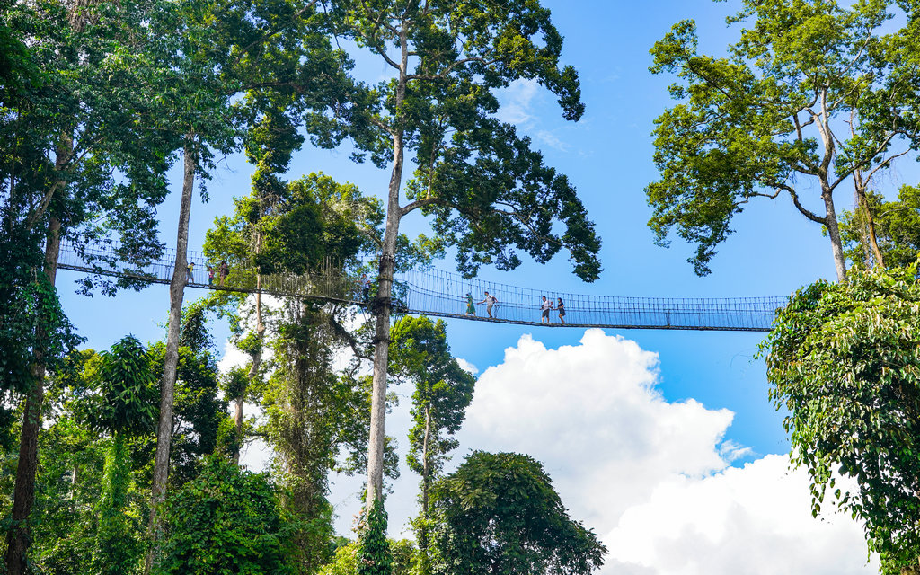 云南大理丽江西双版纳十日游攻略,云南西双版纳深度攻略