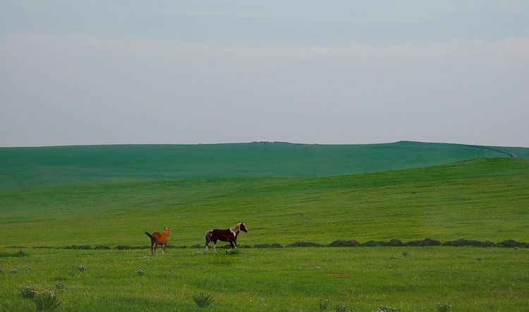 四子王旗——故乡的云，真的好美