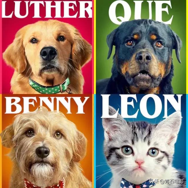 有一道光暖暖的洒下来歌词,一部让人心灵充满阳光的温情电影