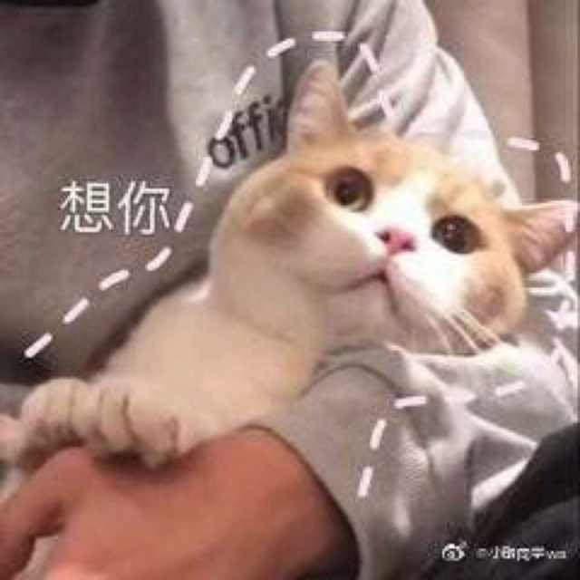 那我怎么办表情包可爱,表情包我怎么发不出去