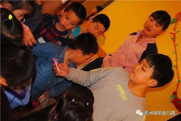 生命教育孵蛋,生命教育课程孵小鸡