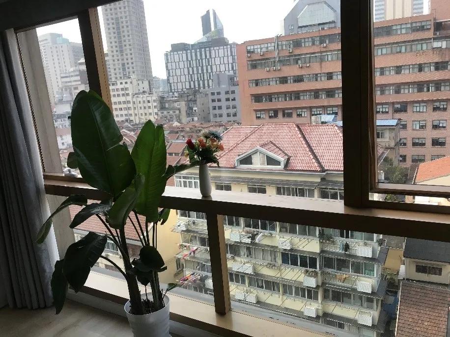 上海板块潜力分析,在上海租公寓多少钱