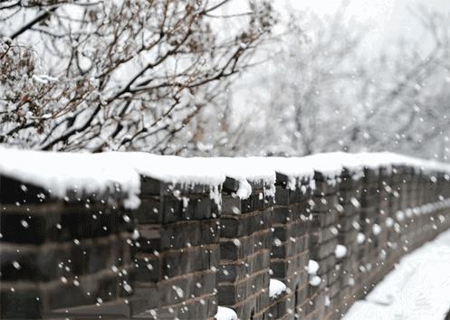 任他天寒地冻，有茶，便是暖冬