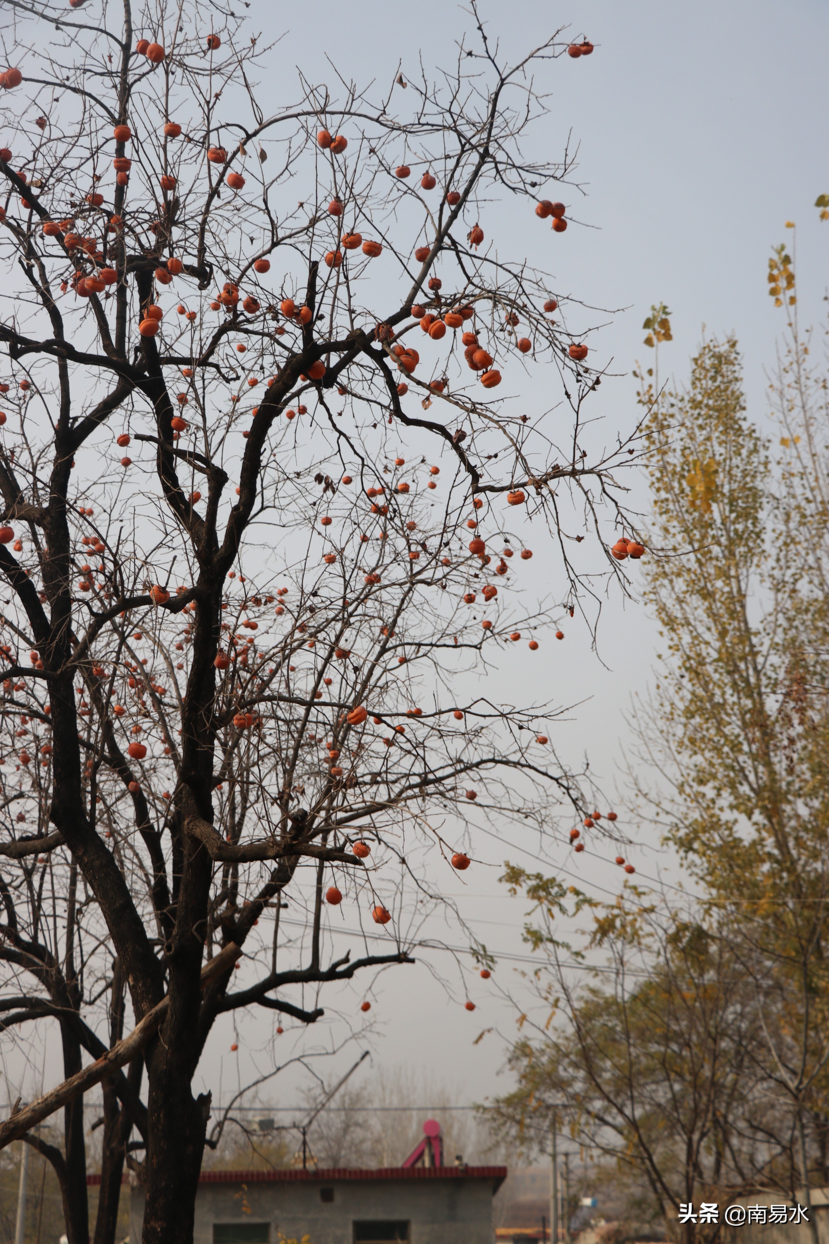 家乡风景带你一起感受自然的味道,令你难以忘怀的家乡的味道