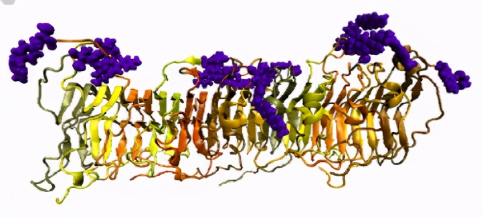 《Angew》混合淀粉样蛋白的氧化还原水凝胶用于生物电催化H2氧化