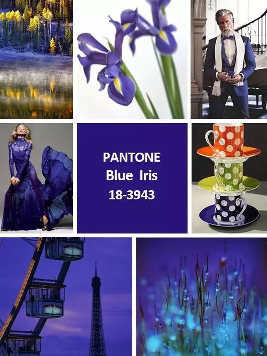 流行色的解释,潘通流行色是怎么确定的