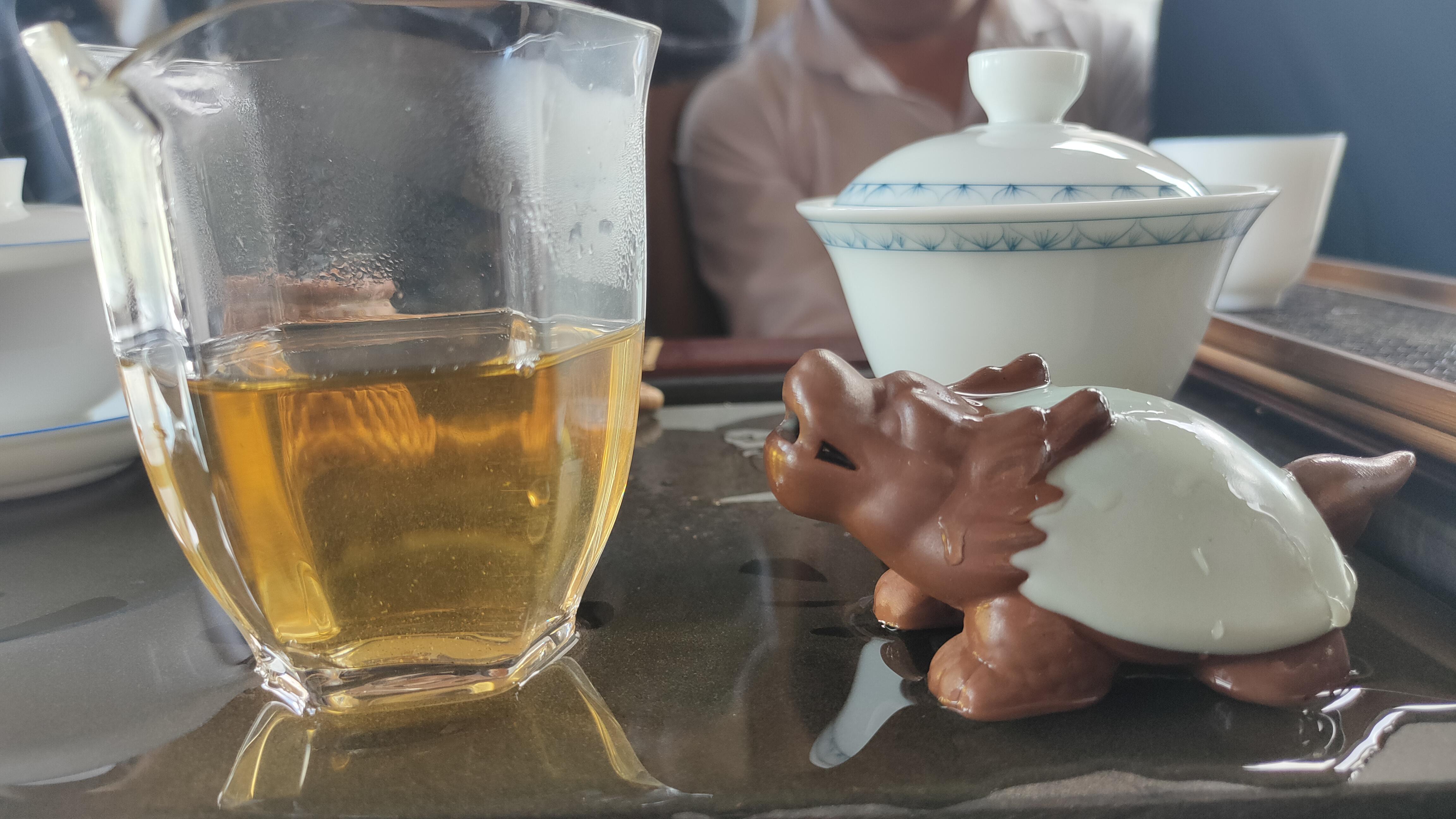 临沧邦东茶区都有什么茶,临沧邦东古树茶