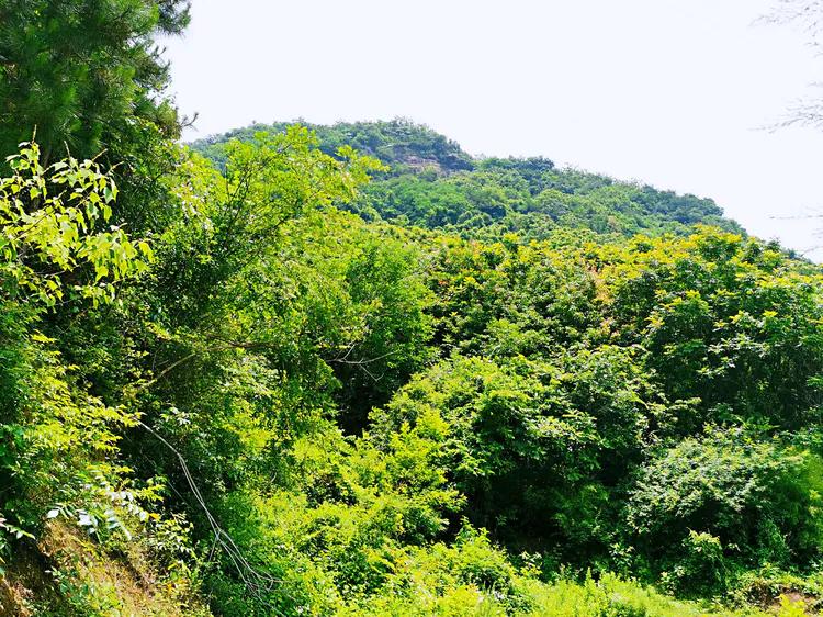 华容山水苑别墅100万,华容秀丽山水风景区