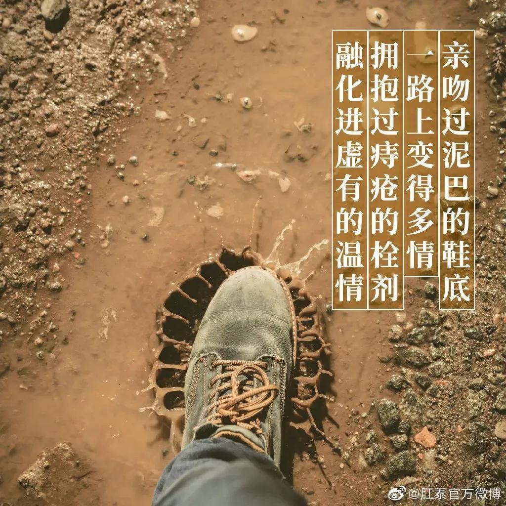 肛泰的效果比马应龙好,肛泰膏好还是马应龙膏好