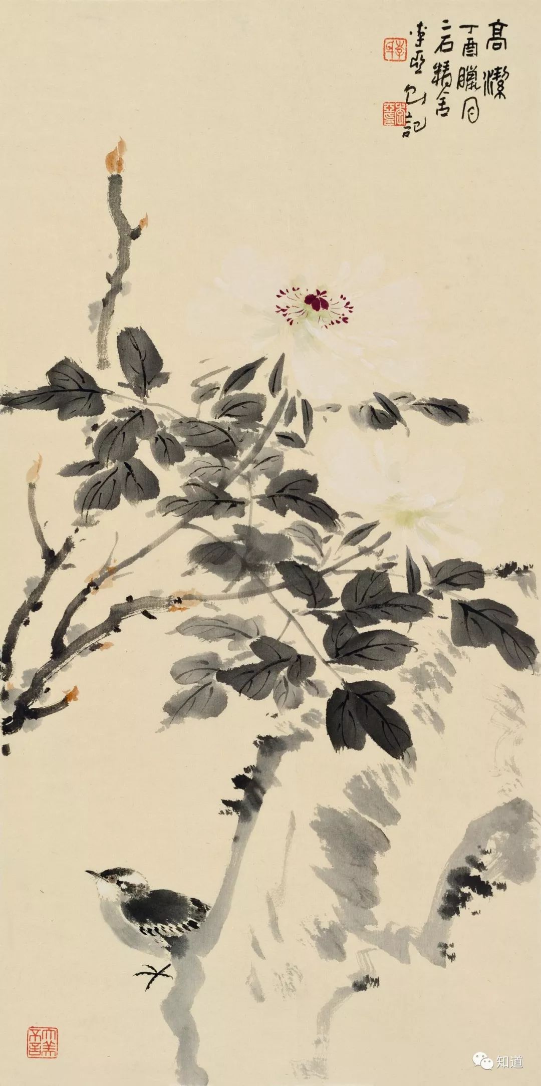 绘画必须明白的知识,绘画必须要学会什么