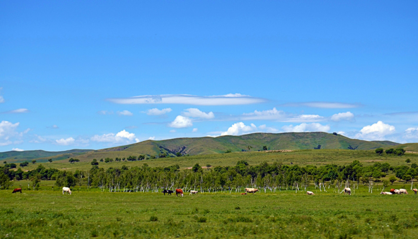 乌珠穆沁草原狼图腾,狼图腾草原魂歌曲