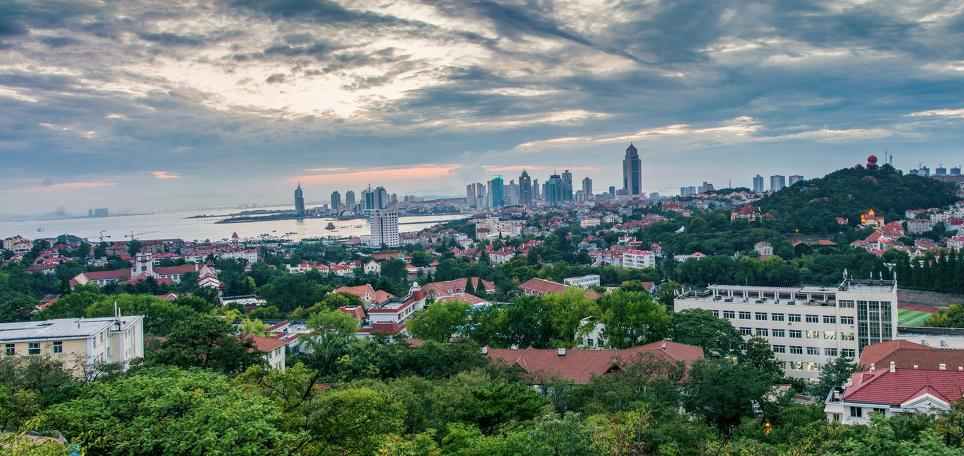 海滨老城泡桐花 (海滨老城紫色泡桐花)