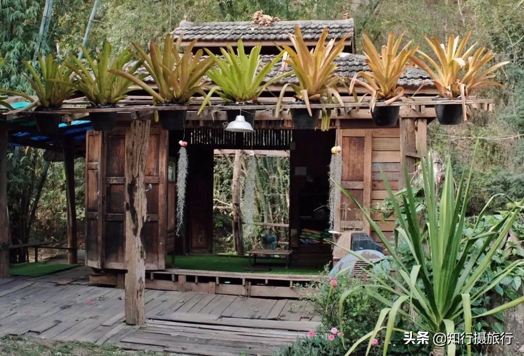 清迈一定要去的咖啡店,打卡泰国清迈6家瀑布咖啡馆