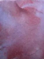 猪瘟和弓形体病的区别在哪里,各种猪病解剖诊断图非瘟