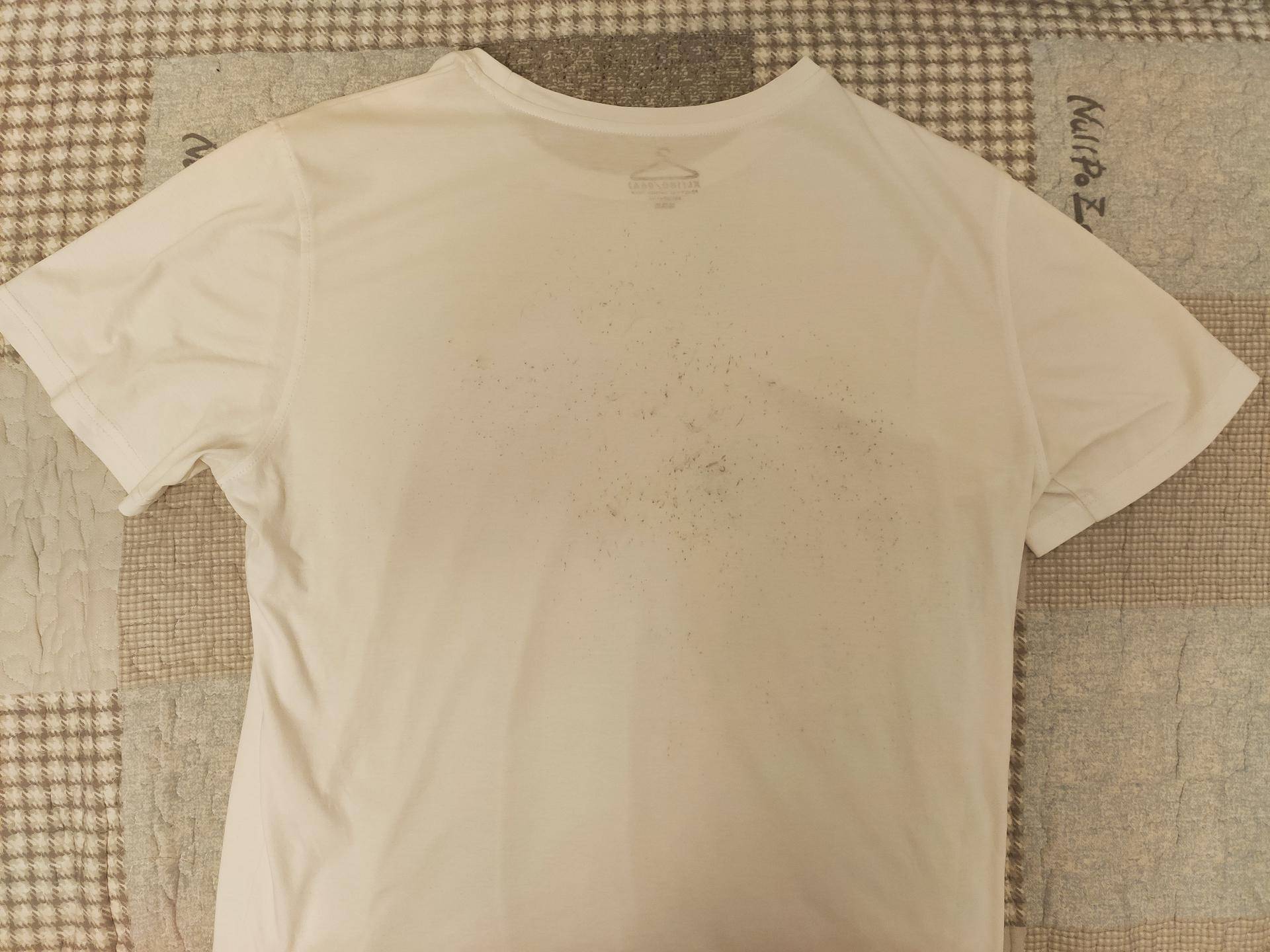 什么材质t恤适合夏天穿,夏季啥材质t恤凉快抗皱不缩水