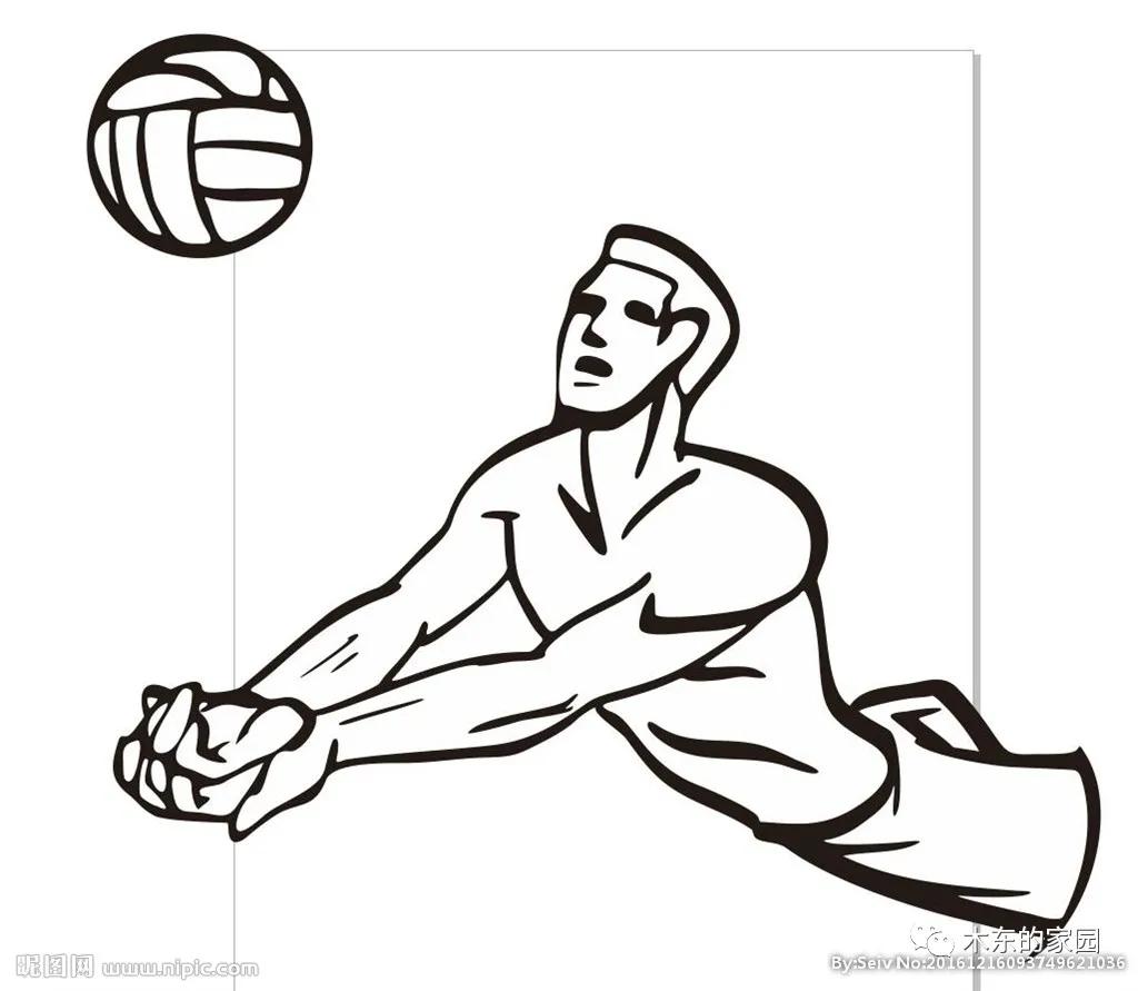 我与排球的不解之缘,我和气排球之缘