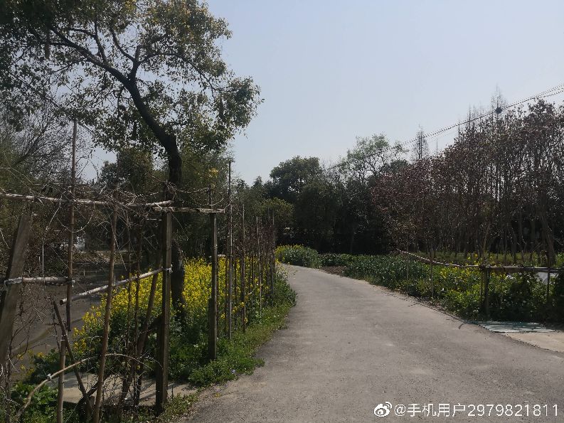 上海浦江附近好玩的地方,上海浦江镇最繁华的地方