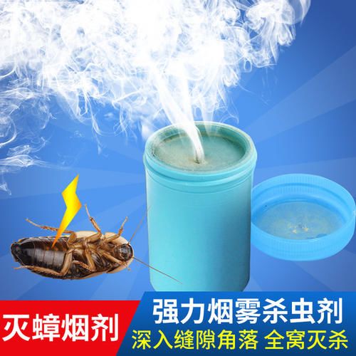 什么方法可以让蟑螂远离你家,一招教你告别蟑螂