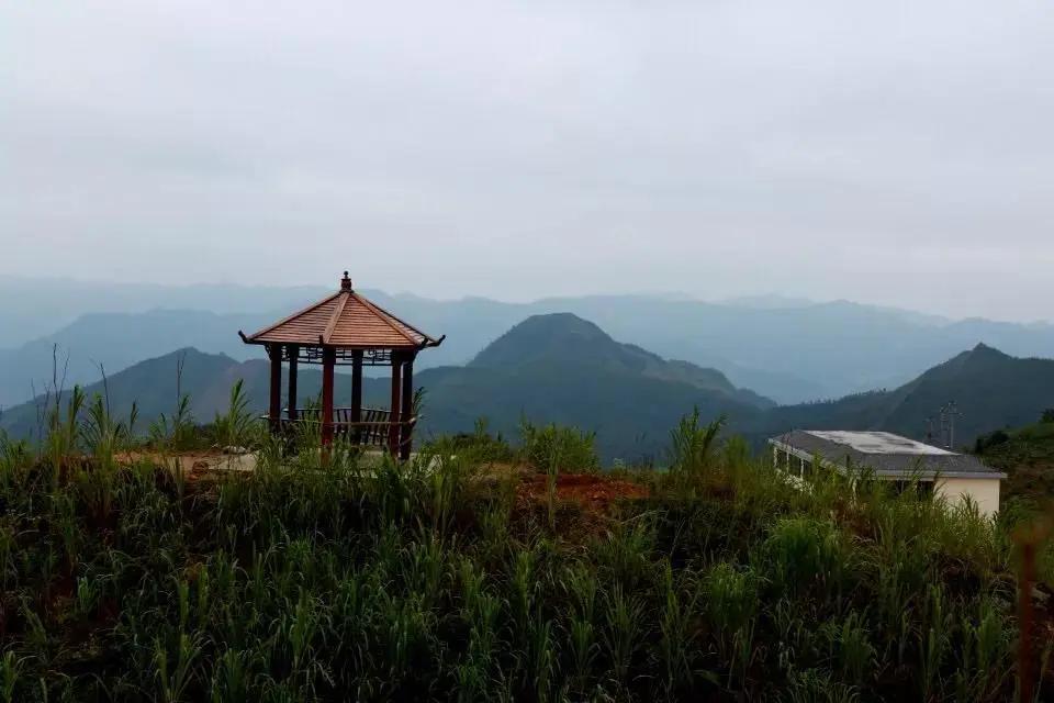 五一假期交通出行指南,五一出行提示省内路况最新信息