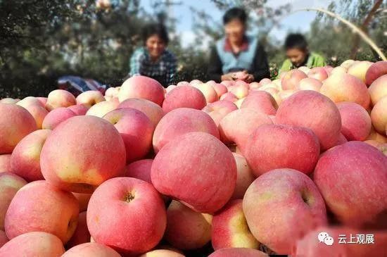 朋友圈怎么传播社交关系,朋友圈如何传播