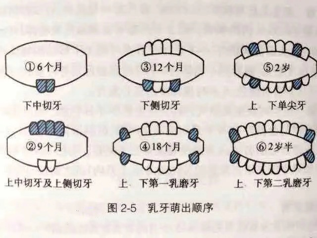 鍧忎簡涓や釜澶х墮,鍧忎簡涓ら闂ㄧ墮