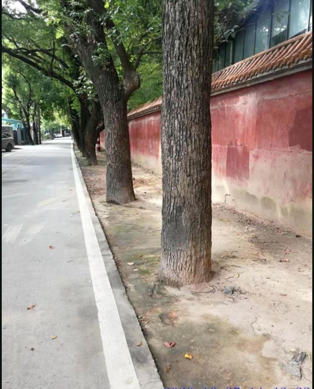 福州西禅寺外景,西禅寺飞檐翘角