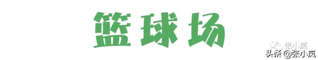藏在森林里的儿童乐园,韶关市森林公园儿童游玩项目