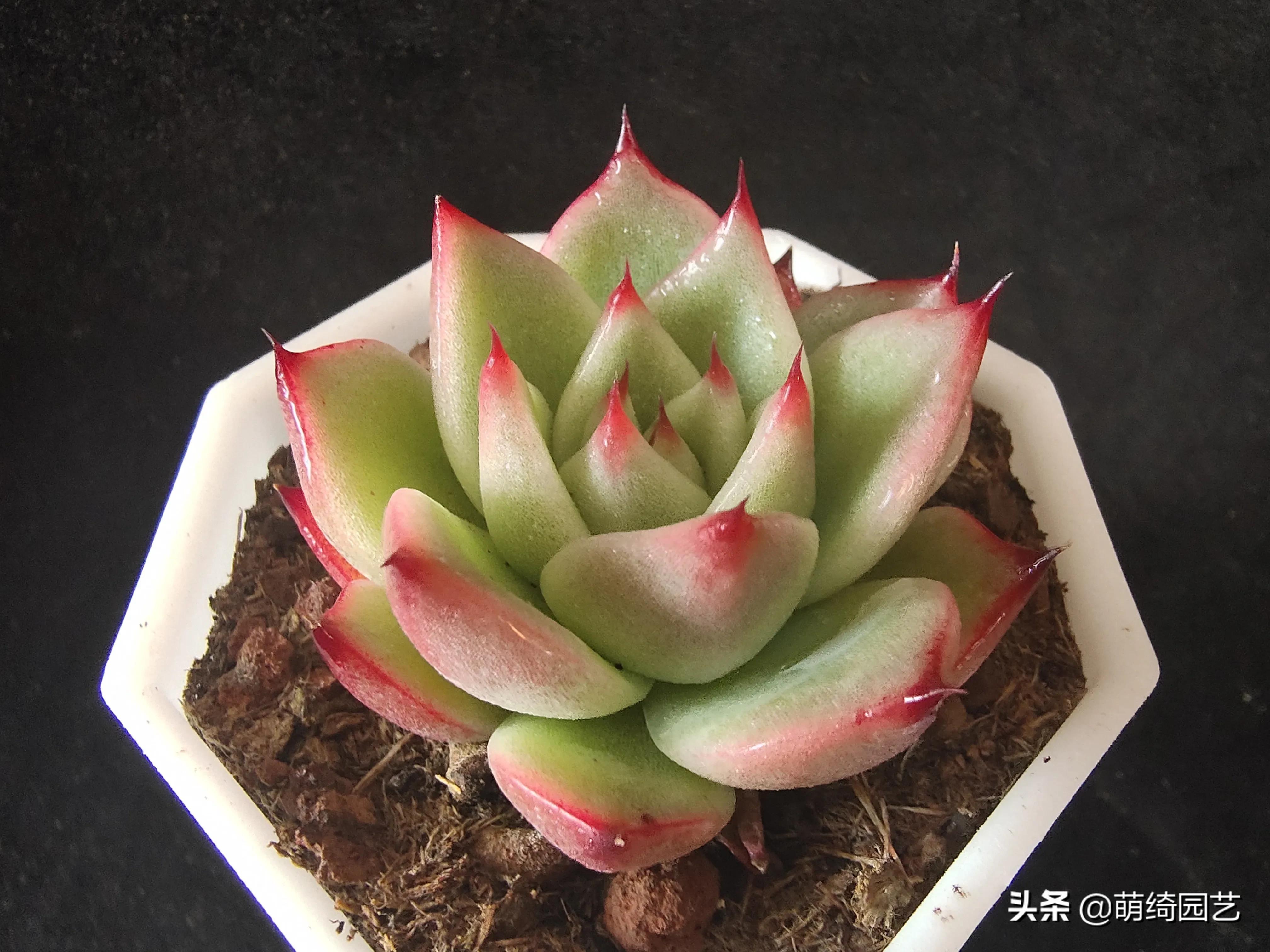 卡西欧g-shockga-110为啥那么贵,卡西欧的手表为什么那么贵