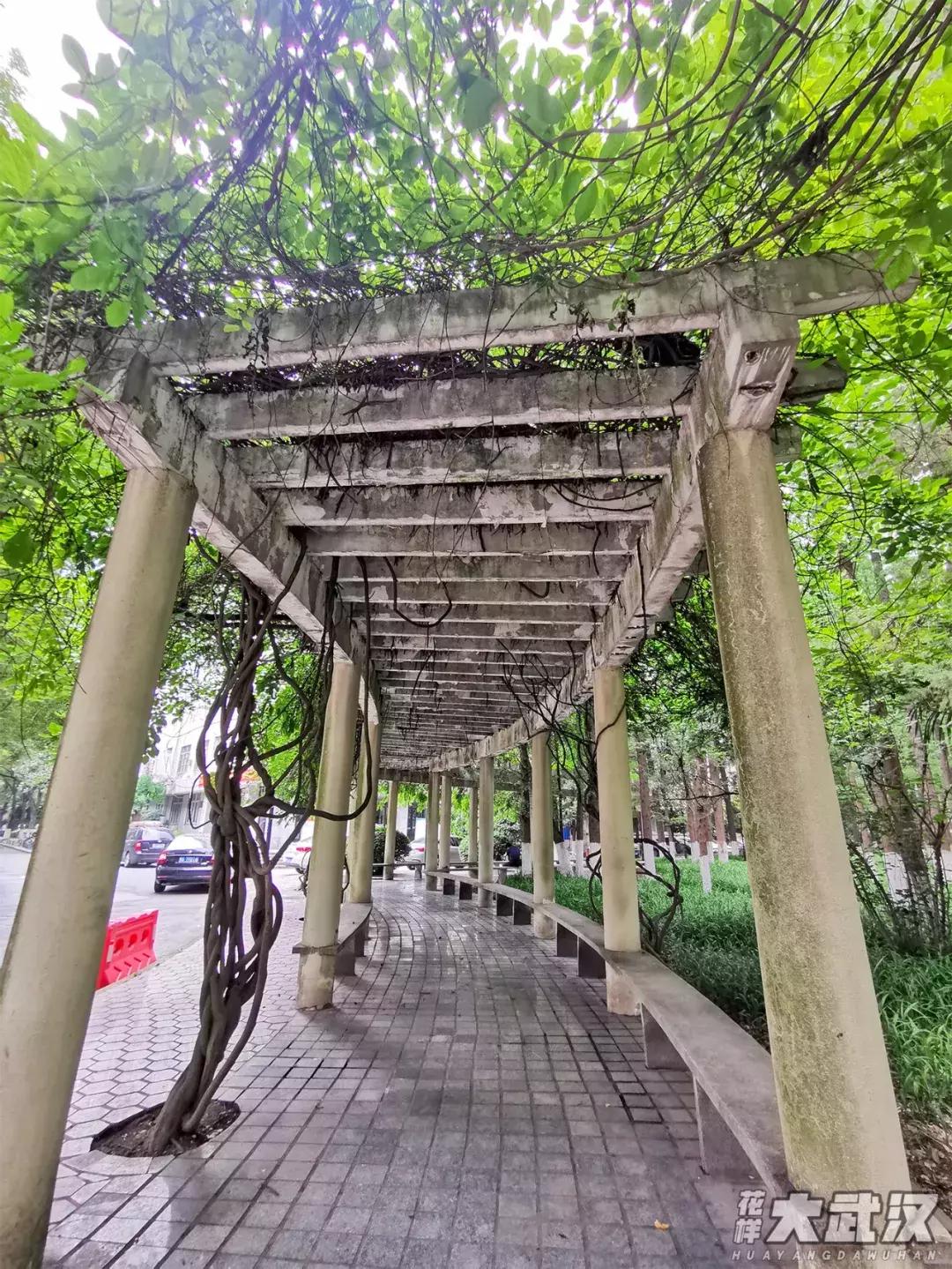 武汉科技大学的机械学院,武汉科技大学医学院和临床学院