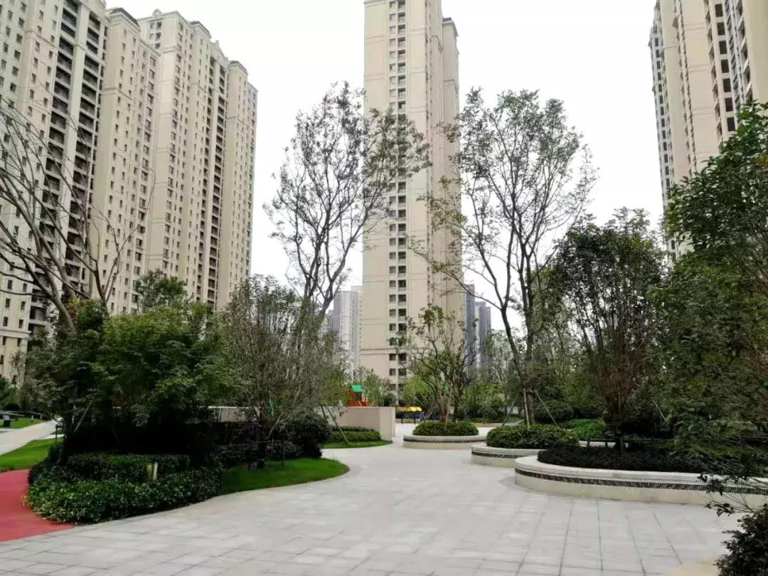 合肥最贵的物业,合肥小区物业费