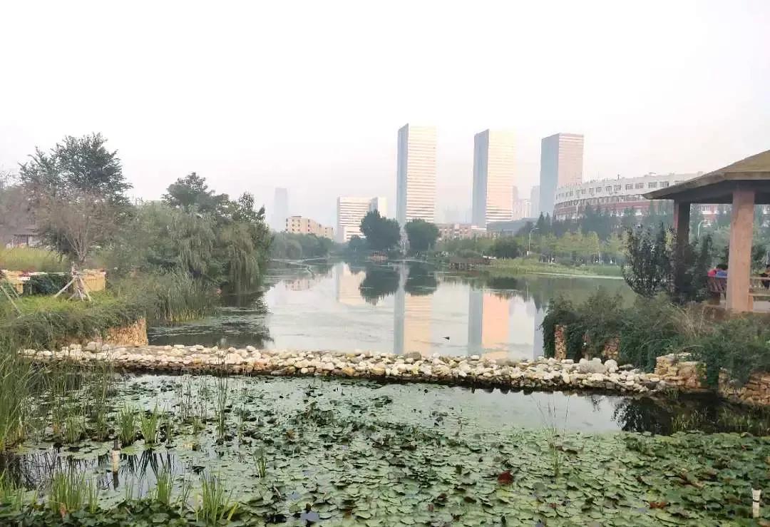 大连海事大学和辽宁省哪个级别高,大连海事大学辽宁省大学排名