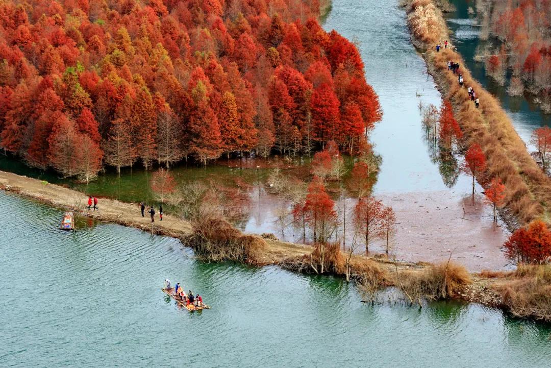 秋天的杭州自驾游,杭州秋冬自驾