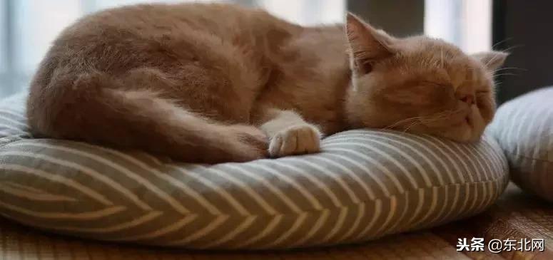 90后女性腋下突然疼痛,女性腋下肿大发烧怎么回事