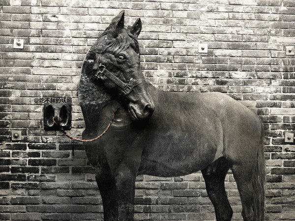 吃货夫妻结婚2周年，去成都逛吃逛吃，3天花了5600元~