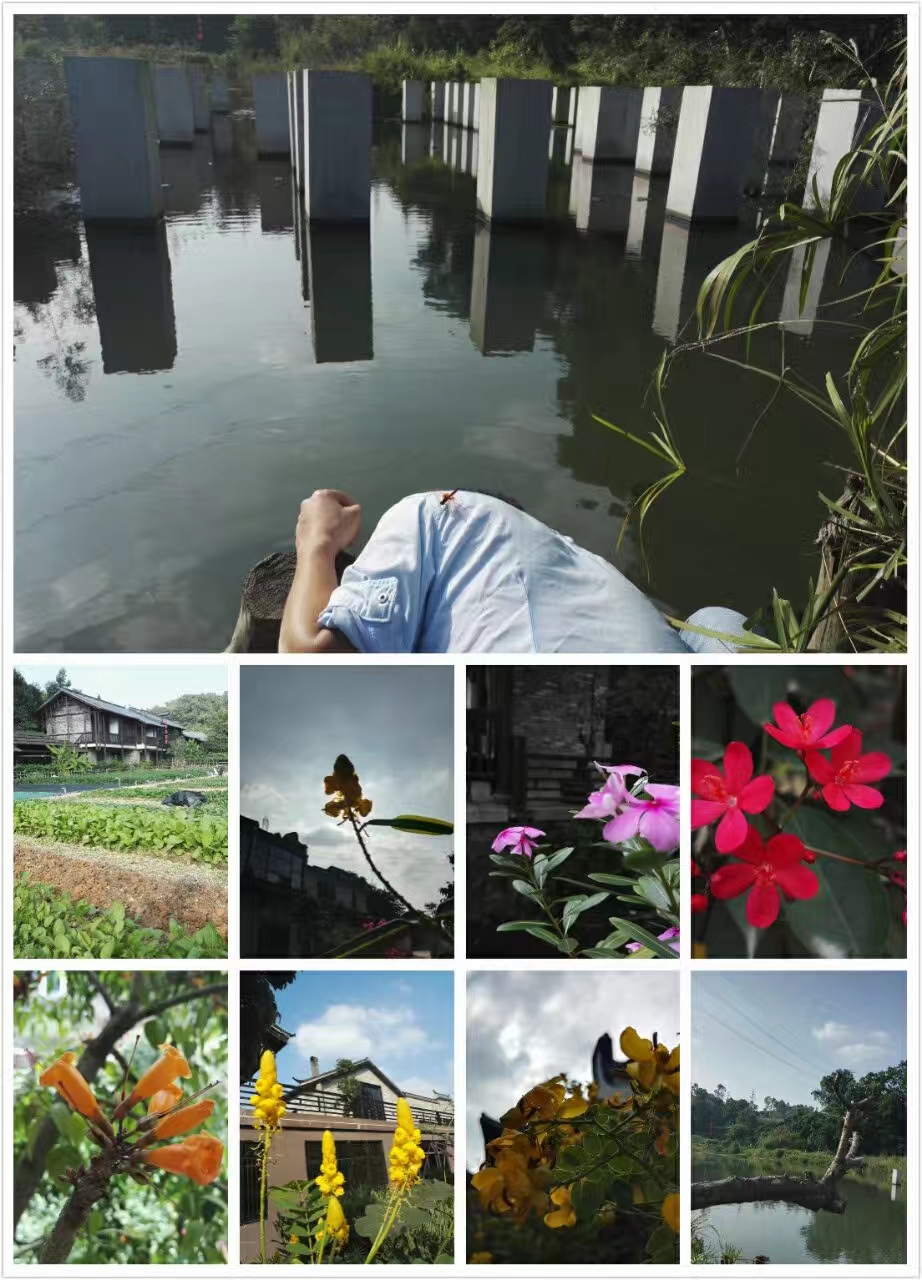 深圳甘坑客家小镇哪个区,深圳甘坑客家小镇欢迎你